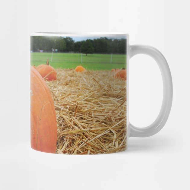 Pumpkin Patch by Bravuramedia